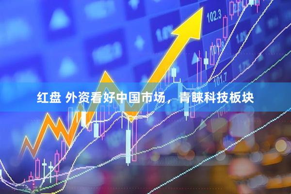 红盘 外资看好中国市场，青睐科技板块
