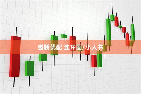 盛鹏优配 连环画/小人书