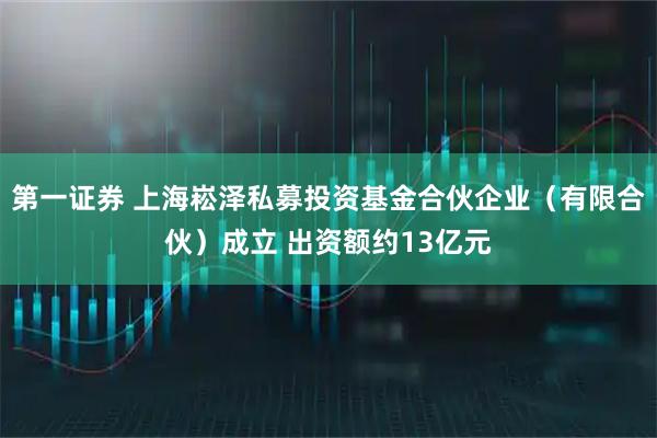 第一证券 上海崧泽私募投资基金合伙企业（有限合伙）成立 出资额约13亿元