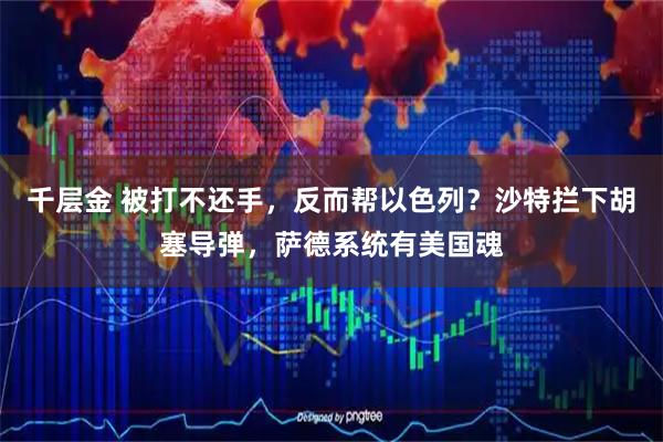 千层金 被打不还手，反而帮以色列？沙特拦下胡塞导弹，萨德系统有美国魂
