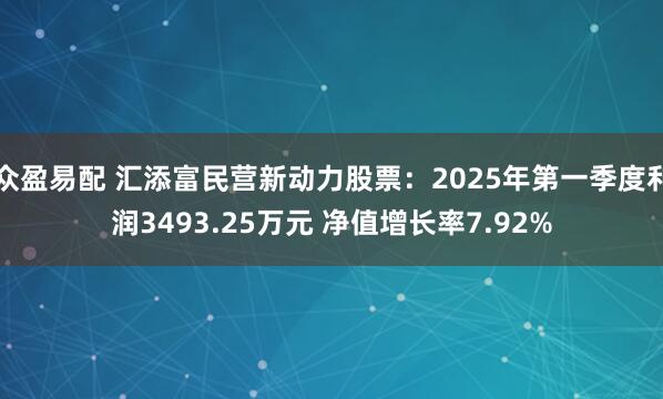 众盈易配 汇添富民营新动力股票：2025年第一季度利润3493.25万元 净值增长率7.92%