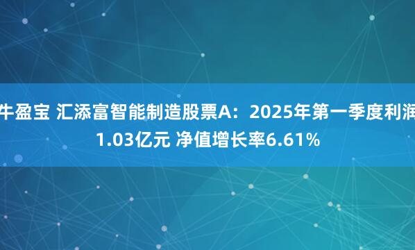牛盈宝 汇添富智能制造股票A：2025年第一季度利润1.03亿元 净值增长率6.61%
