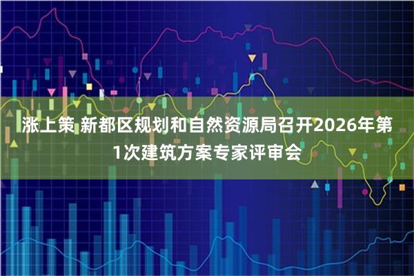 涨上策 新都区规划和自然资源局召开2026年第1次建筑方案专家评审会