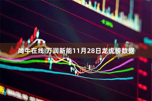 尚牛在线 万润新能11月28日龙虎榜数据