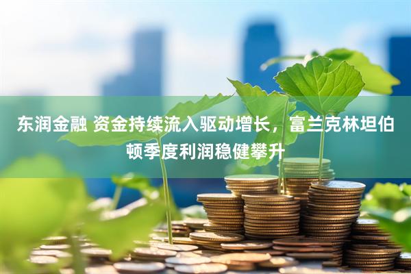 东润金融 资金持续流入驱动增长，富兰克林坦伯顿季度利润稳健攀升